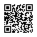 1689705 QRCode