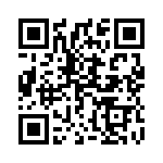 1689899 QRCode