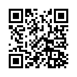 1691 QRCode