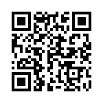 1691131300 QRCode