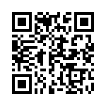 1691131303 QRCode