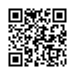 1691194303 QRCode