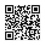 169130811273 QRCode