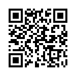 1691310000 QRCode