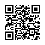 169131011303 QRCode