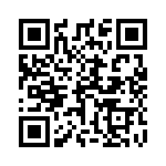 17-300090 QRCode