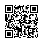 17 QRCode