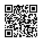 17011104223 QRCode