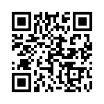 17021252008 QRCode