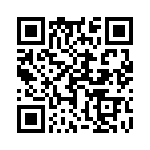 17021254206 QRCode