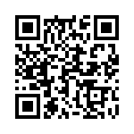 17021752007 QRCode