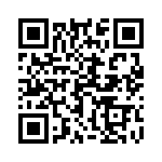 17021752009 QRCode