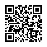 170223K250BB QRCode