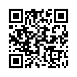 17030554213 QRCode