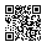 1703355608 QRCode