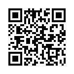 17041542010 QRCode