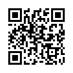 1704387 QRCode