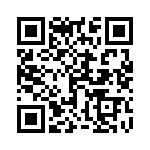 1704751607 QRCode