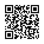 1705253817 QRCode