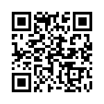 1705820011 QRCode