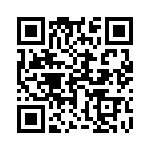 17063082202 QRCode