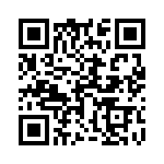 17063082203 QRCode