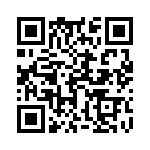 17122002206 QRCode