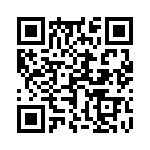 17131272004 QRCode