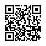 17131274004 QRCode