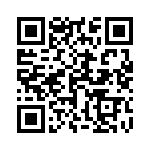 1713203038 QRCode