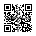 1713431 QRCode