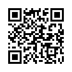 171363-4 QRCode