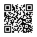 1713745 QRCode