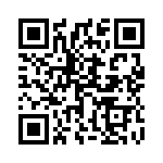 1713981 QRCode