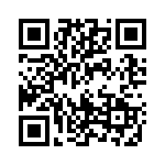 1717385 QRCode