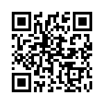 1719105 QRCode