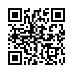 1720017 QRCode