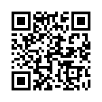 1720420306 QRCode
