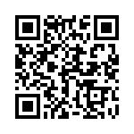 1720430306 QRCode