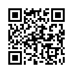 172103 QRCode