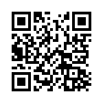 172127 QRCode