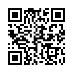 17221251102 QRCode