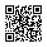 1722202 QRCode