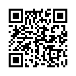17241102101 QRCode