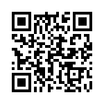 17250952101 QRCode