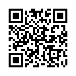 17281-3PG-300 QRCode