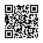 17282-3PG-300 QRCode