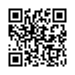 1728251 QRCode