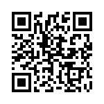 1728507 QRCode