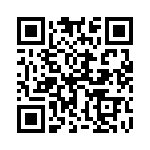 17291-2SG-300 QRCode